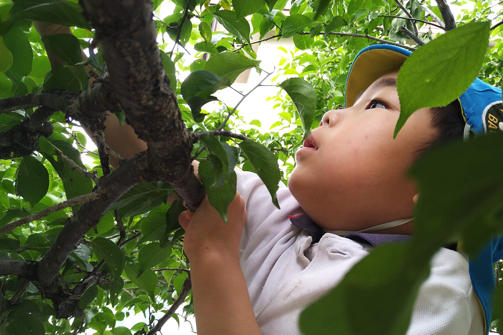 写真:『自然が大好きな　こころゆたかな子どもたち』