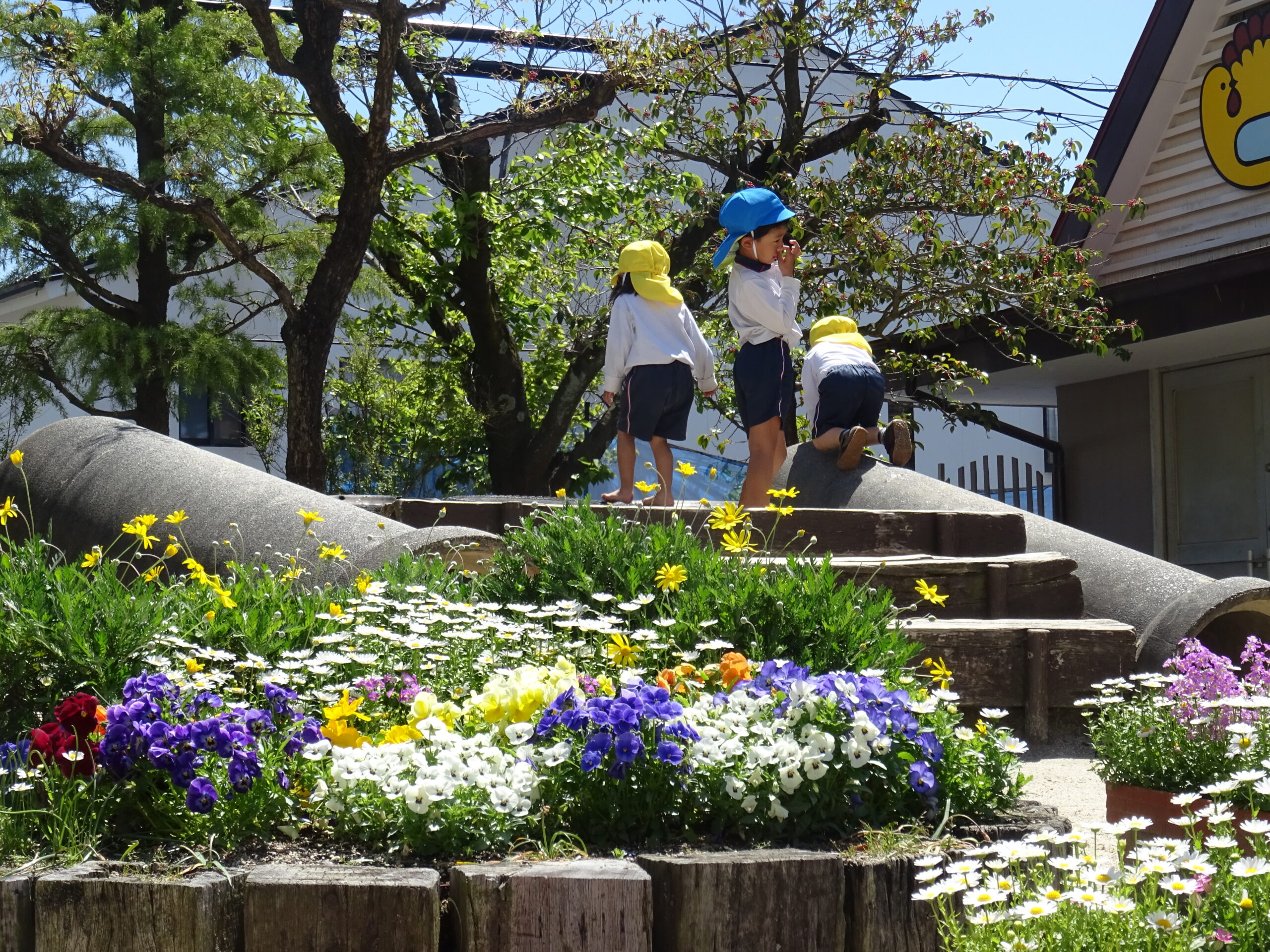 １日保育始まりました