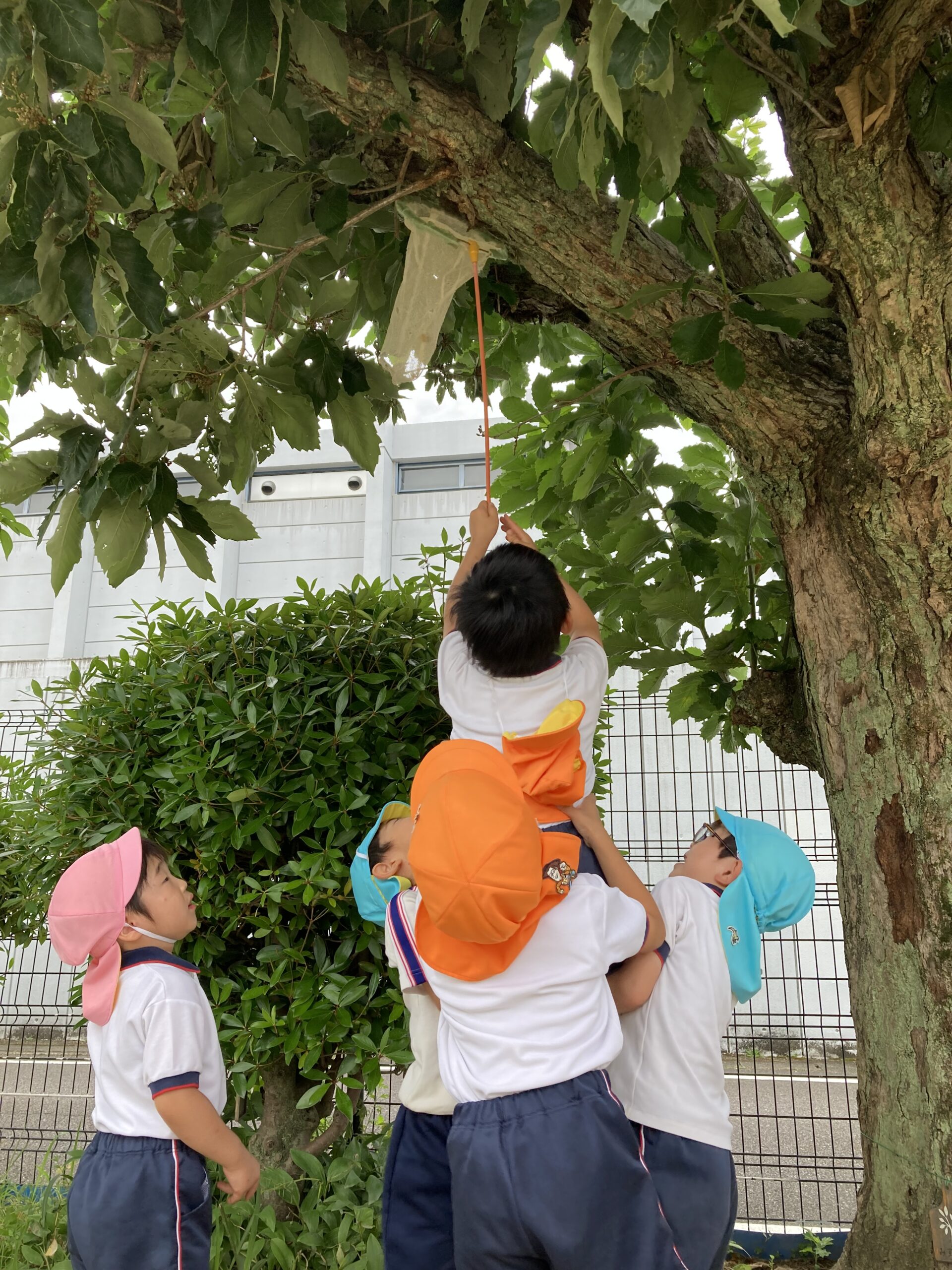 写真:園について02