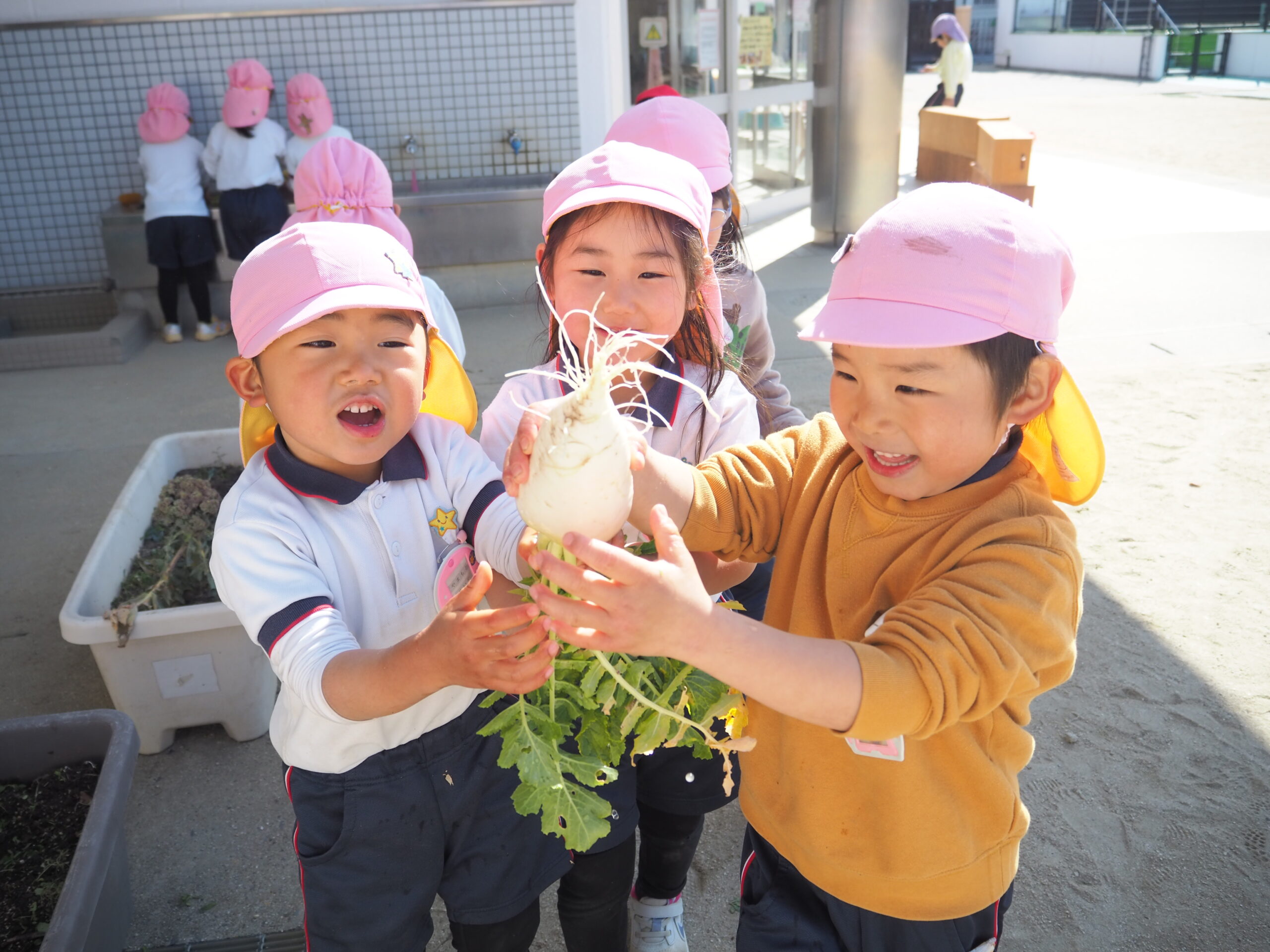 写真:園について03